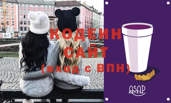 хмурый Алексин