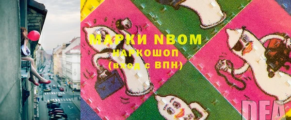хмурый Алексин