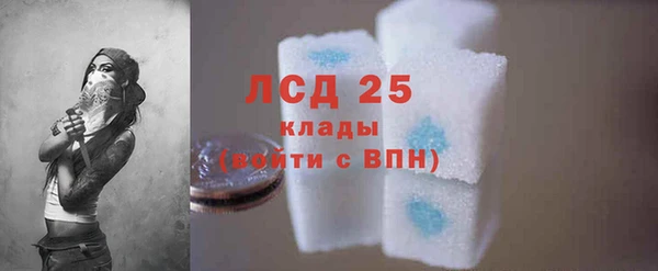 хмурый Алексин