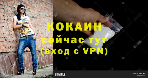 хмурый Алексин