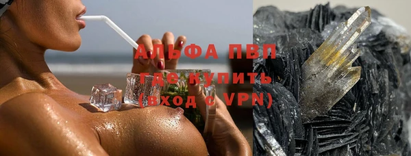 хмурый Алексин